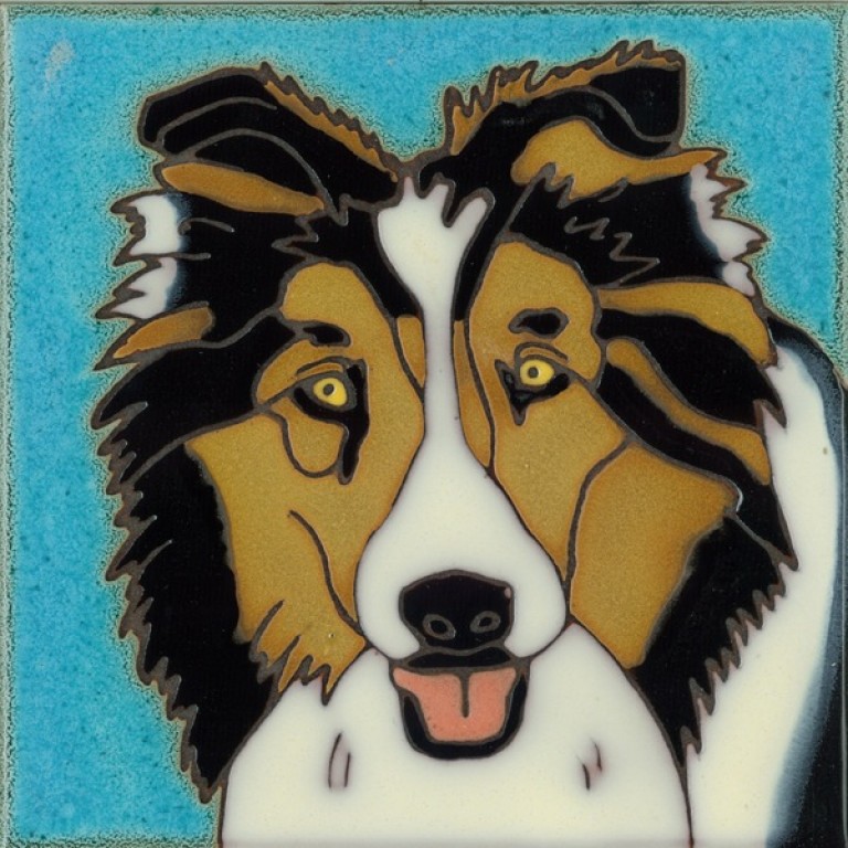 Pacific shelties store