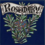 Rosemary - Hand Painted Art Tile