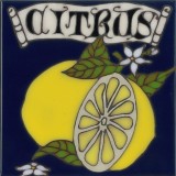 Citrus - Hand Painted Art Tile