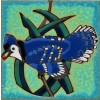 Blue Jay