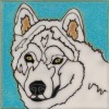 Samoyed - Hand Painted Art Tile