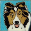 Blue Tri Colored Sheltie - Hand Painted Art Tile