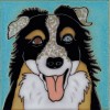 Australian Shepherd Dog- Hand Painted Ceramic Tile
