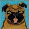 Pug - Hand Painted Art Tile