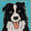 Border Collie - Hand Painted Art Tile