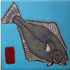 Halibut - Hand Painted Art Tile