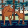 Moose and Calf