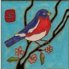 Blue Bird of Happiness