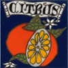 Citrus - Hand Painted Art Tile